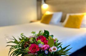 ibis Saint Malo Madeleine - photo 14